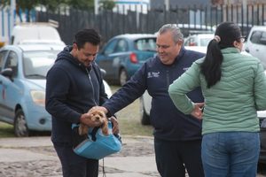 ENTREGA AMEQ MÁS DE 300 TARJETAS QROBUS PETFRIENDLY